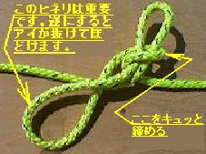 �i���L������No3