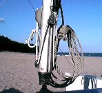 �J�j���K���ƃ��C���E�n�����[�h�̃R�C��-�C���[�W